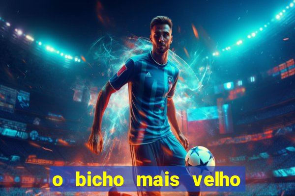 o bicho mais velho da loteria dos sonhos